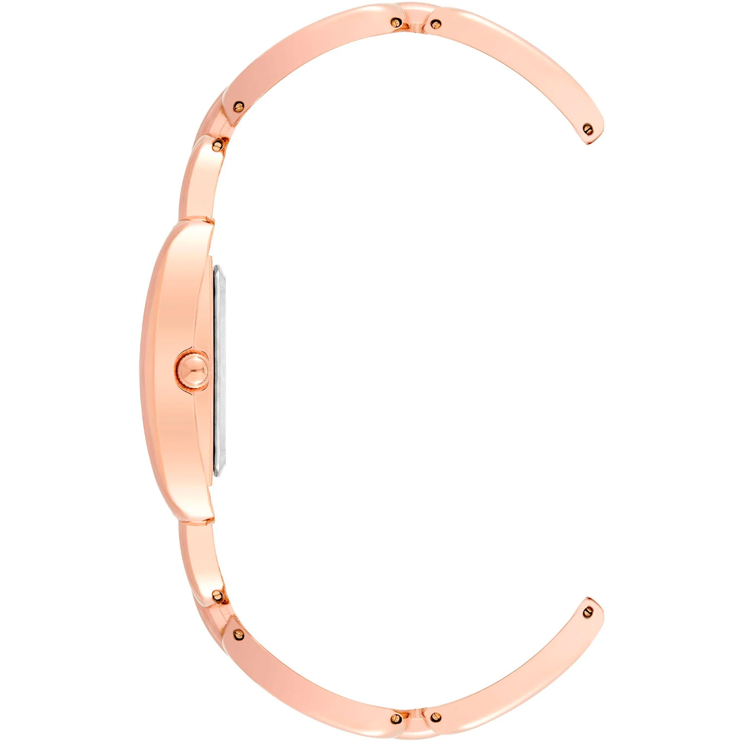 Anne Klein 4094RGRG